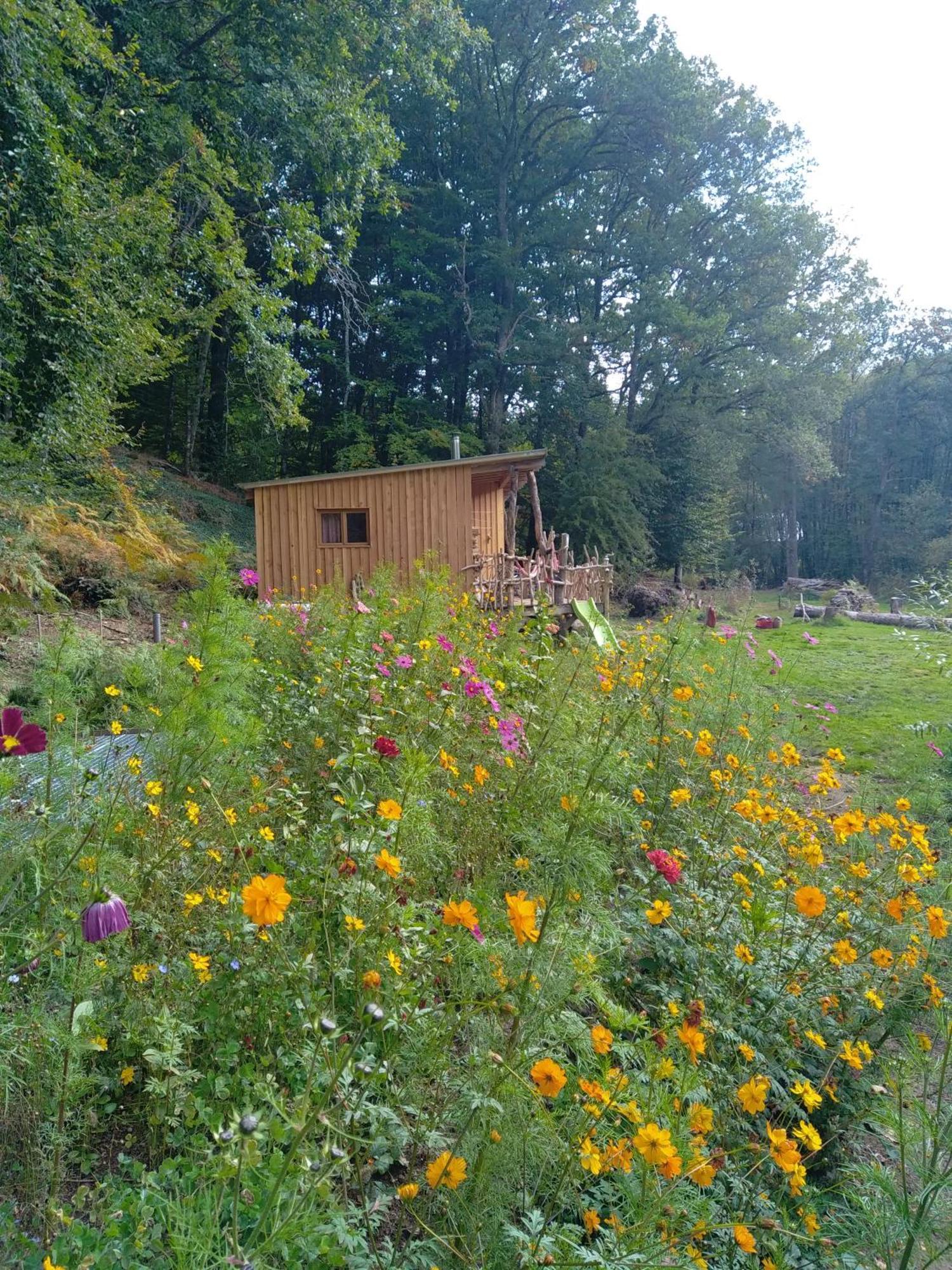 Nature Au Pied Des Hetres Holiday home Vitrac-sur-Montane